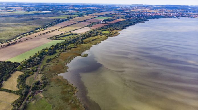 Barna habos víz a Balatonalmádinál, de ez jó