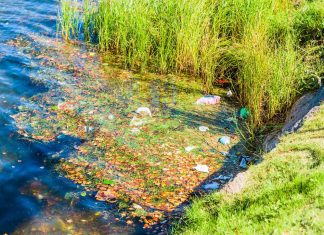 Jelentős a Tisza és mellékfolyóinak mikroműanyag-szennyezettsége műanyagok a Tiszában