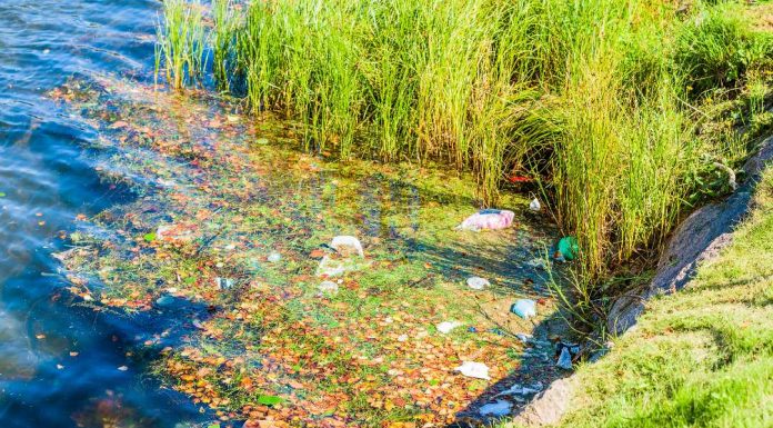 Jelentős a Tisza és mellékfolyóinak mikroműanyag-szennyezettsége műanyagok a Tiszában