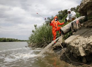 Nehézfémszennyezés érkezett a Szamoson Romániából Szamos szennyezés