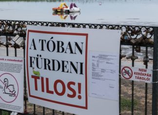 Bezárták a gárdonyi strandot – fekáliával szennyezett a víz