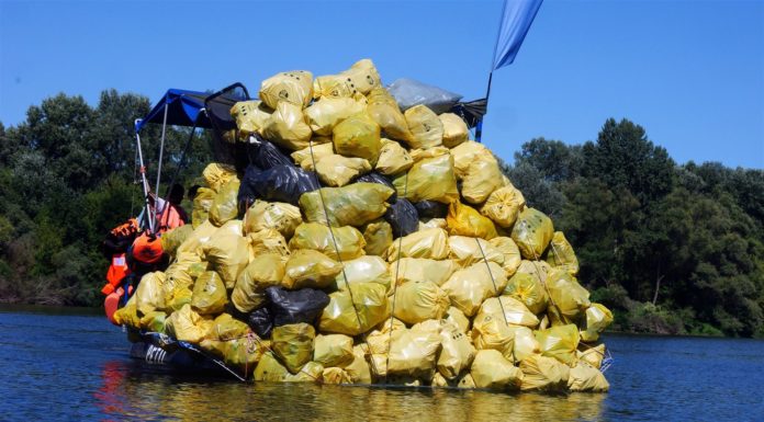 Rekordmennyiségű hulladékot gyűjtöttek össze a Felső-Tiszai PET Kupa résztvevői