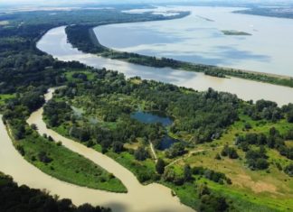 Sikerült megmenteni a Szigetközt